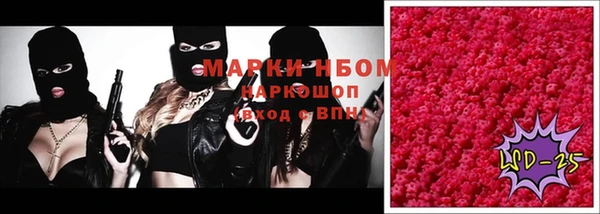 стаф Вяземский