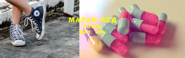 стаф Вяземский