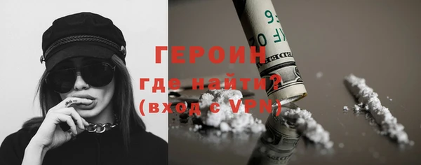 индика Надым