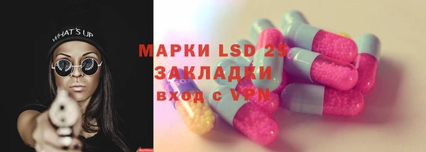стаф Вяземский