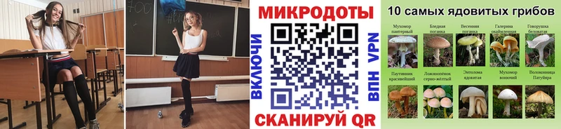 Галлюциногенные грибы мицелий где купить наркоту Сертолово