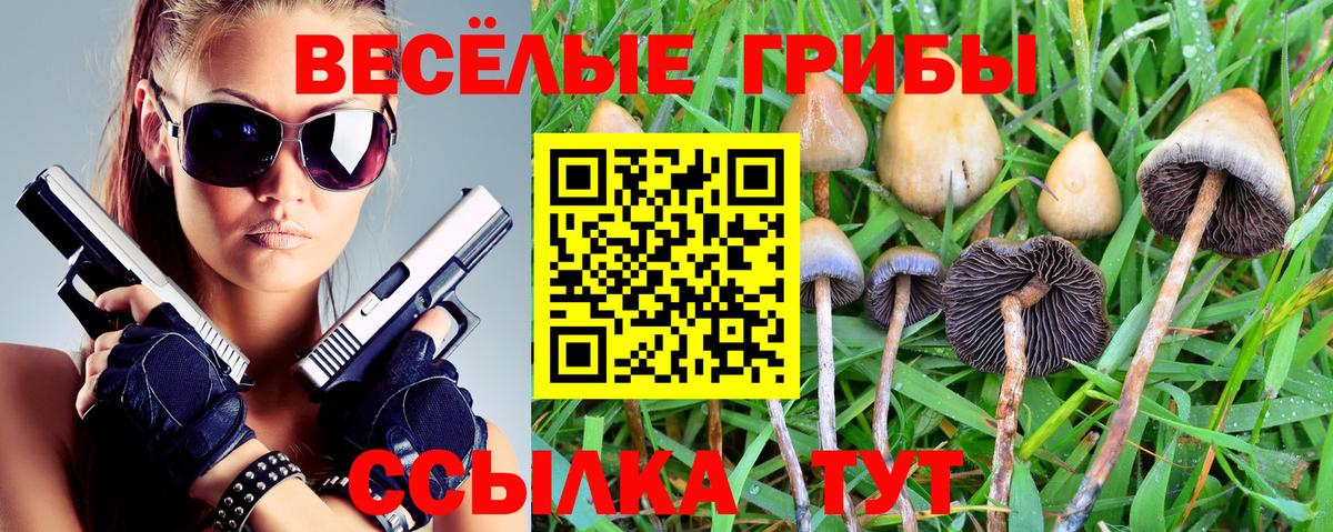 Галлюциногенные грибы прущие грибы Сертолово