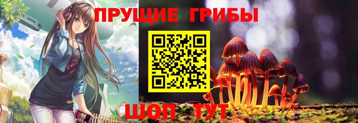 Сертолово  Галлюциногенные грибы Psilocybe  Вход с VPN 