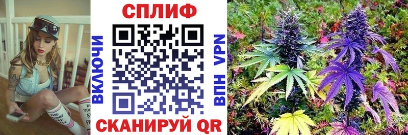 наркотики  Сертолово  МАРИХУАНА тримм 